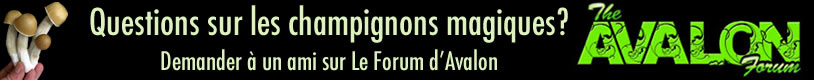 Le forum Avalon - truffes hallucinogenes